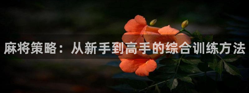 长征娱乐注册官方登录app：麻将策略：从新手到高手的综合训练