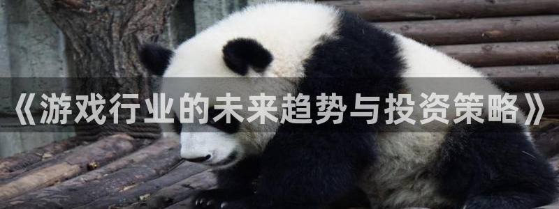 长征娱乐平台负责人：《游戏行业的未来趋势与投资策略》