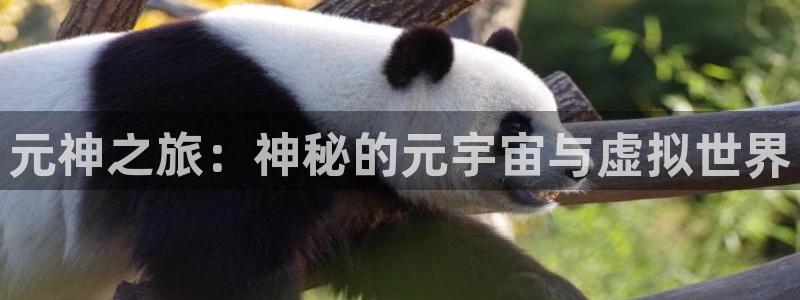 长征娱乐注册开户：元神之旅：神秘的元宇宙与虚拟世界