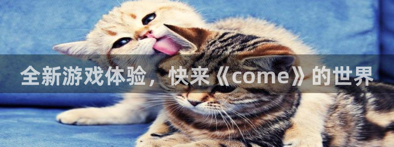 长征娱乐登陆测速：全新游戏体验，快来《come》的世界