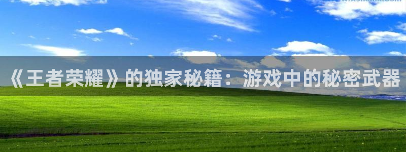 长征娱乐平台注册：《王者荣耀》的独家秘籍：游戏中的秘密武器