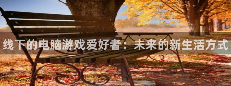 长征娱乐网页版地址：线下的电脑游戏爱好者：未来的新生活方式