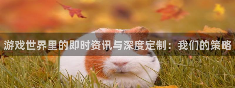 长征娱乐娱乐：游戏世界里的即时资讯与深度定制：我们的策略