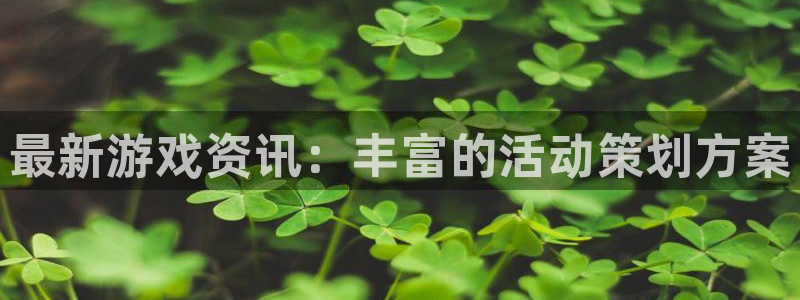 长征娱乐平台注册开户：最新游戏资讯：丰富的活动策划方案