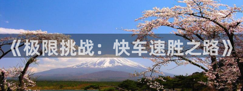 833直播足球比赛视频：《极限挑战：快车速胜之路》