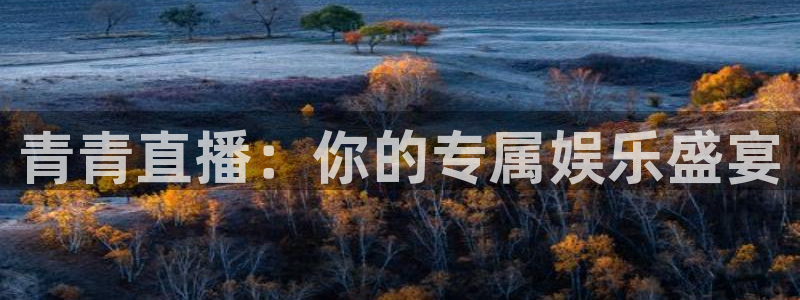 833直播足球免费观看：青青直播：你的专属娱乐盛宴