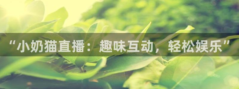 833篮球体育免费直播平台：“小奶猫直播：趣味互动，轻松娱乐”