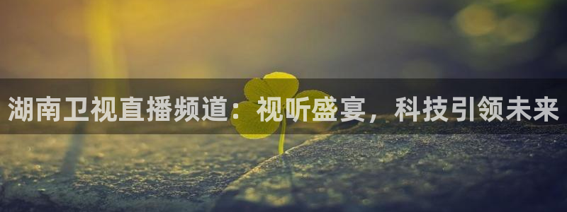 833篮球直播免费高清直播：湖南卫视直播频道：视听盛宴，科技引领未来