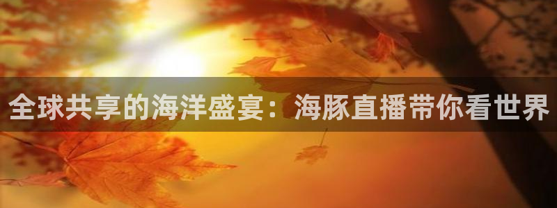833直播篮球比赛在线观看：全球共享的海洋盛宴：海豚直播带你看世界