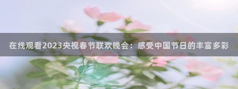 833足球直播在线直播：在线观看2023央视春节联欢晚会：感受中国节日的丰富多彩