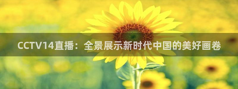 足球比赛直播间833：CCTV14直播：全景展示新时代中国的美好画卷